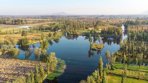 Canales de Xochimilco y sus chinampas en la Ciudad de México rodeadas de árboles y campos verdes.